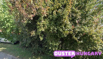 AGROmotor Kft - Csalogány U. 3 AGROmotor Kft - Csalogány U. 3