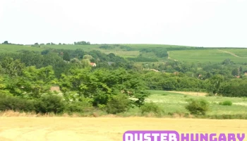 Andornaktálya Posta - Ii. Rákóczi Ferenc Út 200