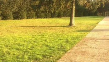 Babócsai temető - Rákóczi U. 56 Babócsai temető - Rákóczi U. 56