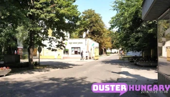 Bács-Kiskun Vármegyei Oktatókórház Kalocsa (szte Áok) - Kossuth Lajos U. 34