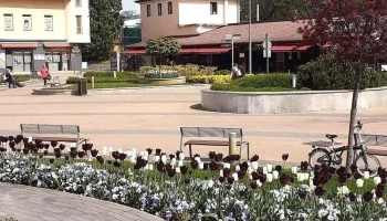 Balaton-régió Ingatlaniroda - Fő Tér 5