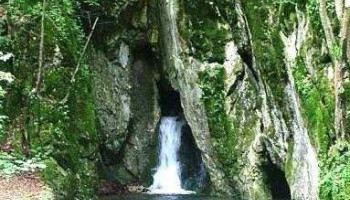 Bélapátfalvai - Hungary