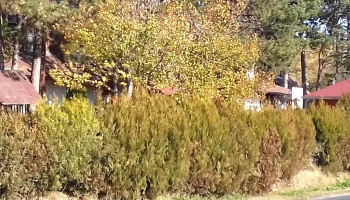 Benke Autószerviz - Győr