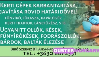 Biró Lajos ev. - Málnás U. 15