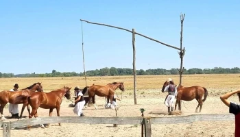 Bugacpuszta - Bugacpusztaháza