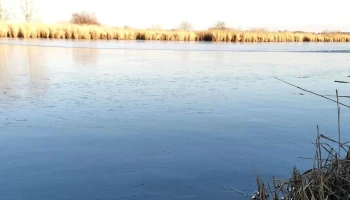 Cibakházi-Holt-Tisza - Hungary