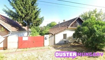 Csányi László - Gyulai U. 25