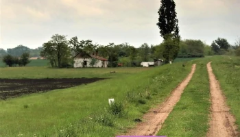 Csanytelek, Dögállás - Magyarország