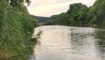Danzug-holtág - Magyarország