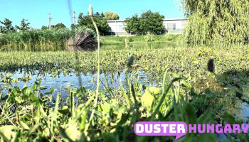 Fedrid Kft. - Tompa Mihály Út 2 Fedrid Kft. - Tompa Mihály Út 2