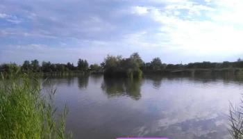 Fűtéstechnikai Üzletház - Mosonmagyaróvár