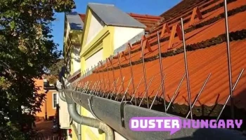 Galambriasztás Szeged - Hungary