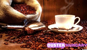 Global-Coffe Kft. - Felújított és új Saeco kávégépek - Radnóti U. 6 Global-Coffe Kft. - Felújított és új Saeco kávégépek - Radnóti U. 6