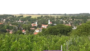Gyönk - Gyönk