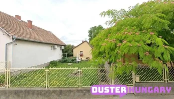 Kecskés Antal - Szél U. 3