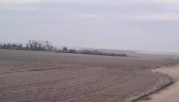 Madagro Kft. - Magyarország