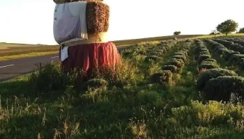 Megyaszó - Megyaszó