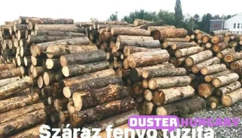 Mi-fa Minden Ami Fa, Asad-Wood Kft, Pecsenye Milán - Ipartelepi Út 11
