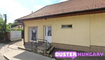 Non-Stop Zárszerviz Leányfalu - Leányfalu