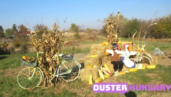 Nyírcsászári - Nyírcsászári