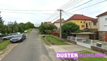 Pintér Attila - Dankó Pista U. 21