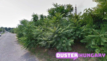 Q-Service Gyöngy Master Szerviz Kft. - Vágány Utca 7