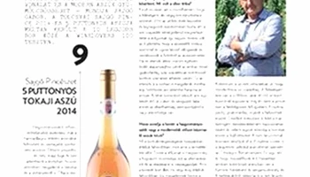 Sajgó Pincészet - Tolcsva