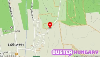 Spanics Hajnalka Ev - Hungary Spanics Hajnalka Ev - Hungary