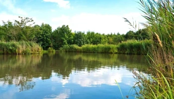 Sziki-tó - Magyarország