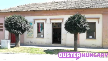 Szinyei Kerérpárszervíz - Dózsa György Utca 25