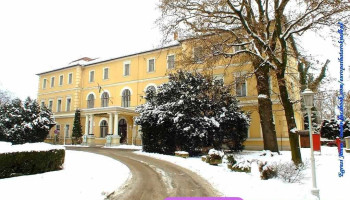 Szte Szakk Deszki Multidiszciplináris Centrum - Alkotmány U. 36