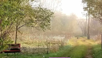 Tápiószőlős - Tápiószőlős