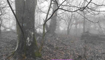 Tárkányi földvár - Magyarország