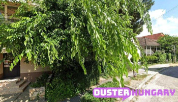 Thermocalor Bt. - Ybl Miklós Ltp. 5 Thermocalor Bt. - Ybl Miklós Ltp. 5