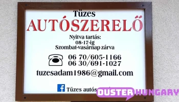 Tüzes Autószervíz - Fő Út 40
