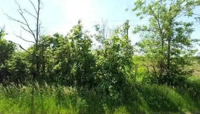 Abasar Tatarmezo Osszes - Abasár