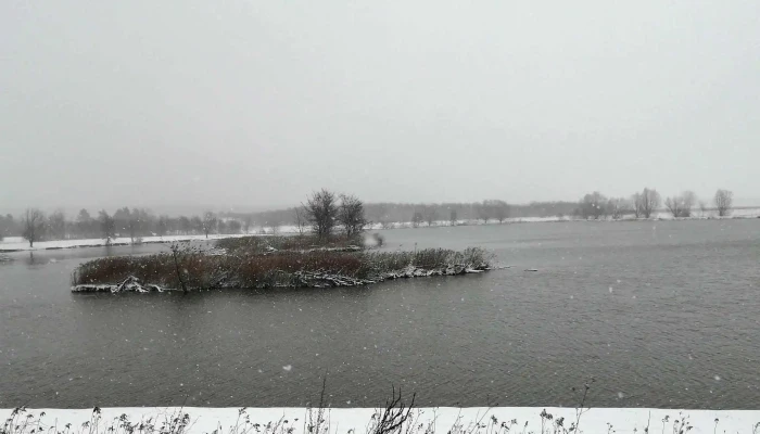 Abert To Hogyan Lehet Odajutni - Kőszeg