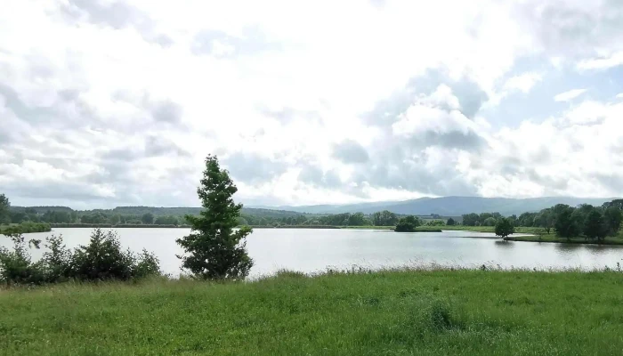 Abert To Terulet - Kőszeg