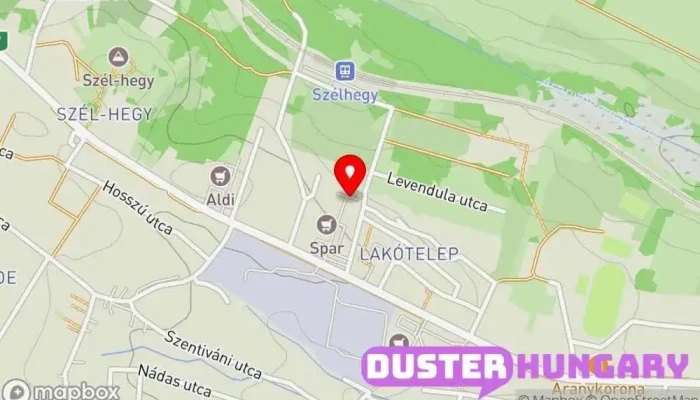 térkép Abszolút Autójavító Sofőrszolgálat, Autókarosszéria-bolt, Autójavító, Gumiabroncs-szaküzlet, Használt autógumik boltja ban Solymár