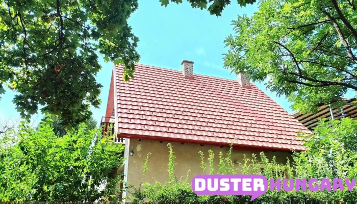 Acs Tetofedo Badogos Osszes - Budapest