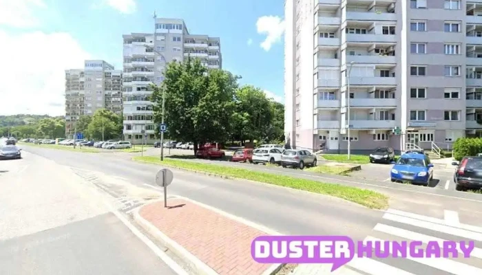 Ántsz Nyugat-dunántúli Regionális Intézet Zalaegerszegi Kirendeltség - Göcseji Út 24