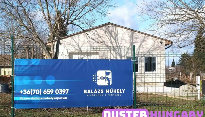 Autofenyezo A Tulajdonostol - Kaposvár