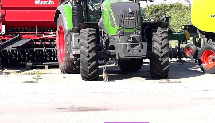 Axial Kft Mezogazdasagi Vontato - Kerecsend
