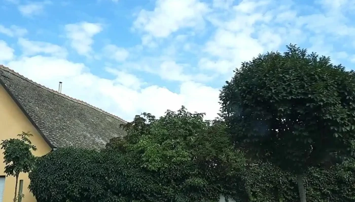 Bacsbokod Videok - Bácsbokod