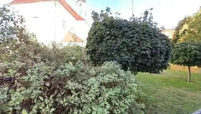Bacska Bau Group Kft Osszes - Baja