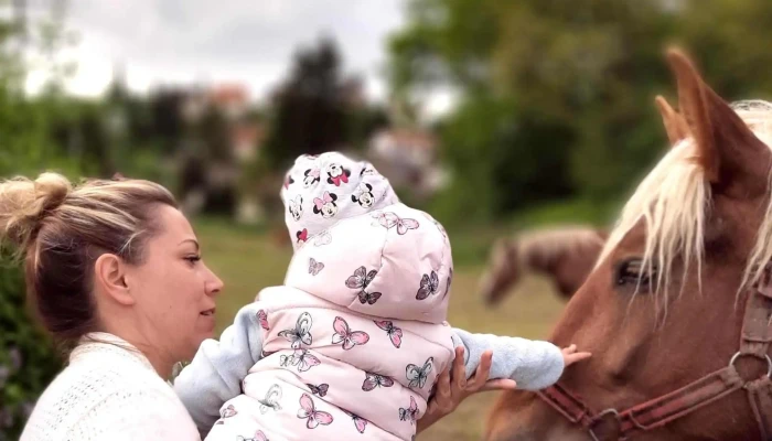 Baglyasko Var Termeszetvedelmi Latogatokozpont Terulet - Salgótarján
