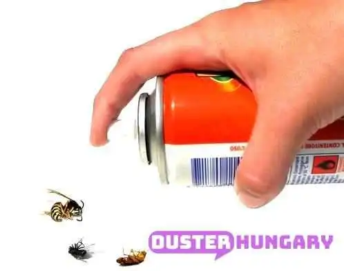 Bagyi Laszlo A Tulajdonostol - Gyöngyös