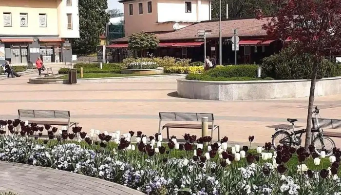 Balaton-régió Ingatlaniroda - Fő Tér 5