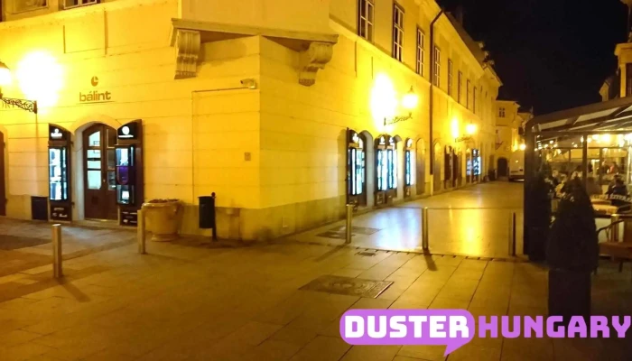 Bálint órás, Győri Órás Bt. - Esterházy Palota