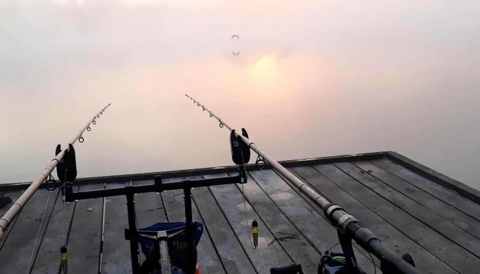 Battyan Carp Lake Cim - Szabadbattyán